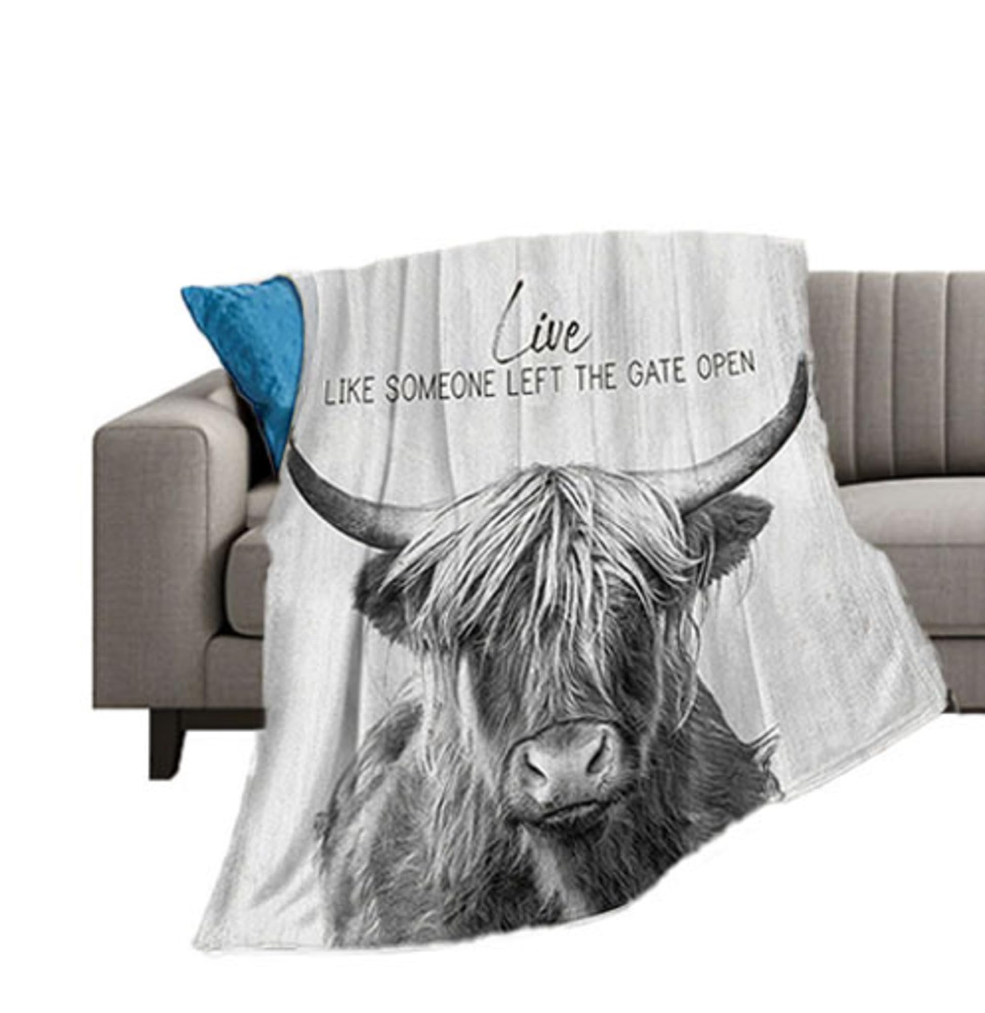 Taimeng Highland Cow Blanket for Girls Boys Highland Cow Gifts Cow Throw Blanket for Couch Sofa Bed Soft Warm Flannel Fleece for Kids Adults 40''x50''