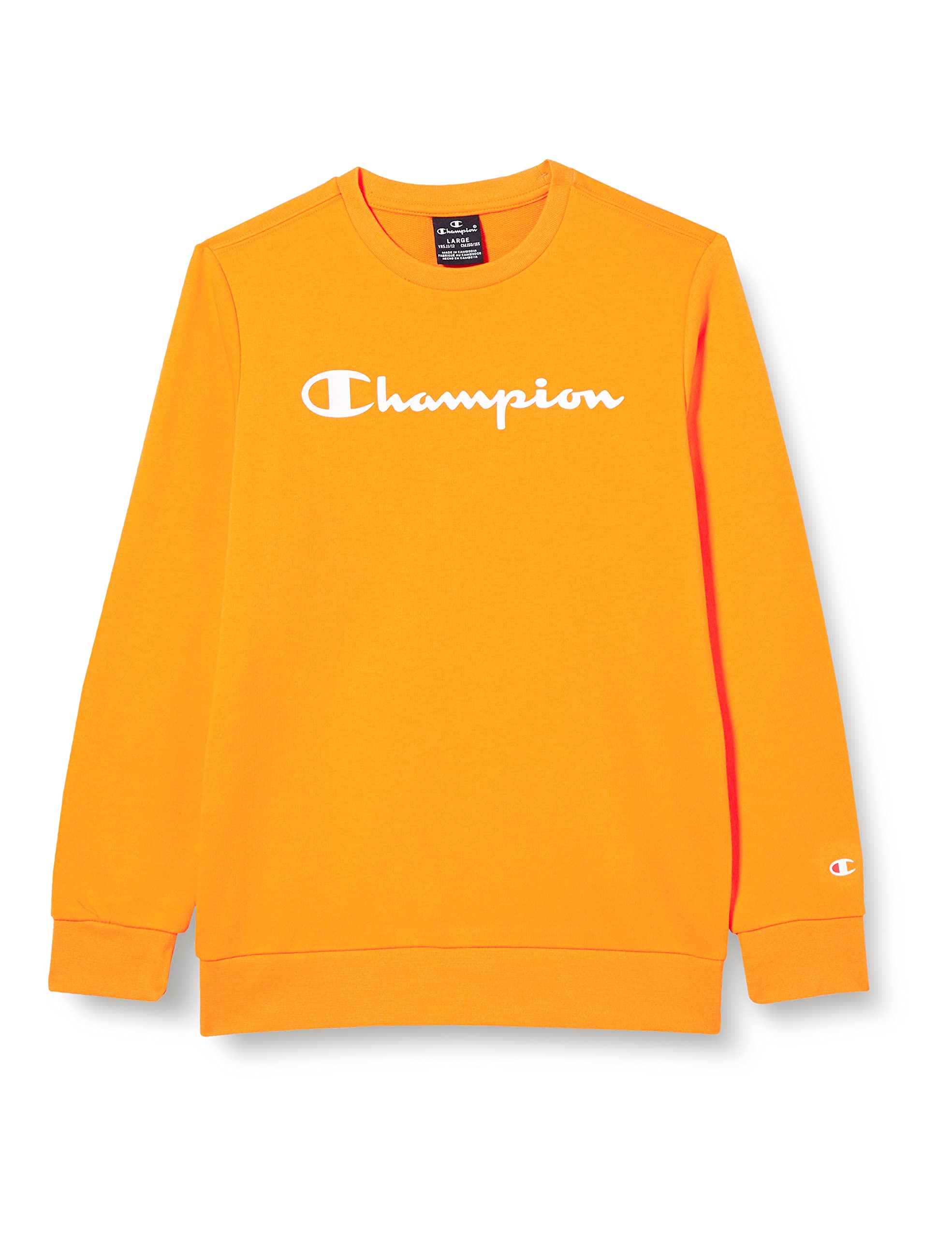 Hooded Sweatshirt Yellow Crew Neck Champion Champion Boys American