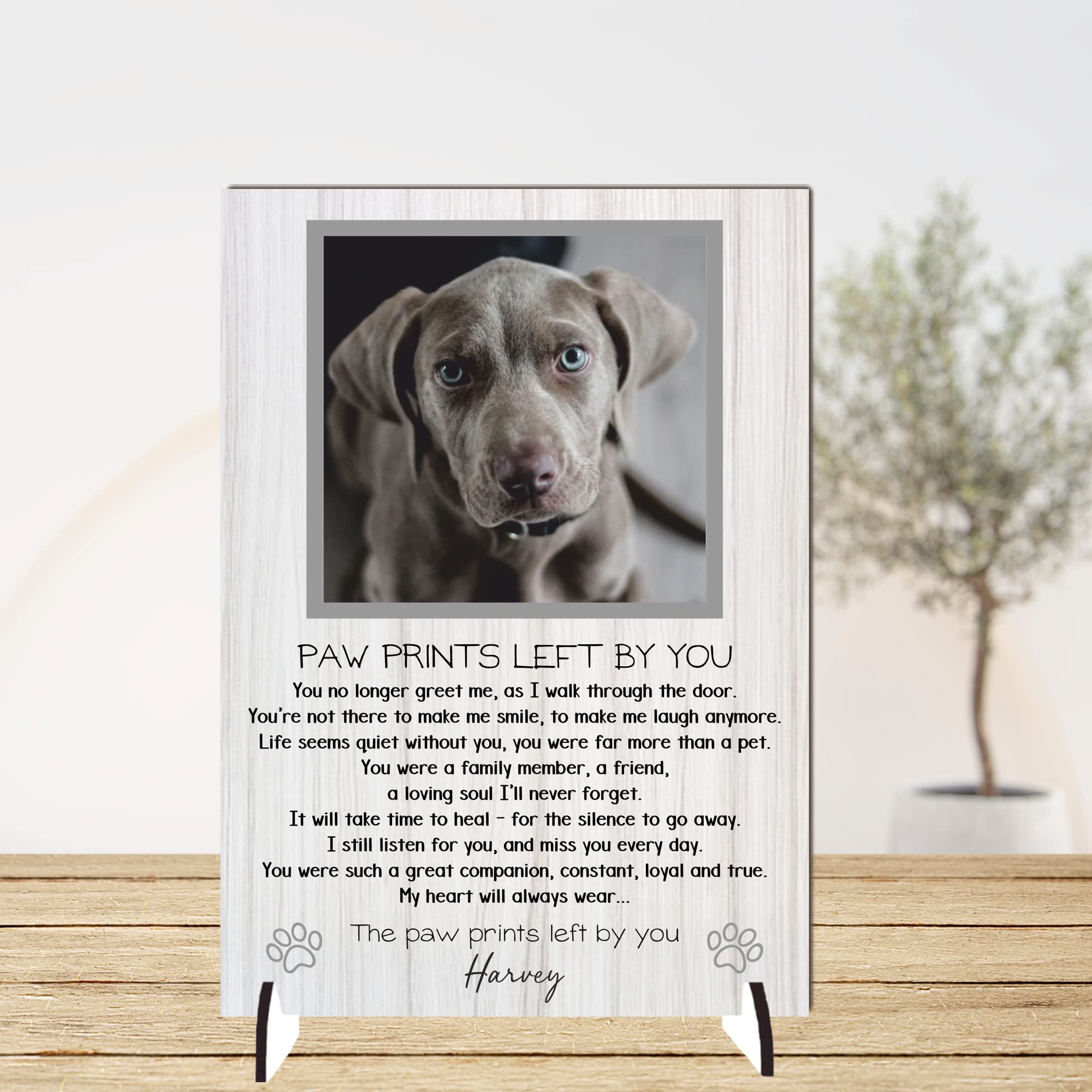 Pixie's Gifts Personalised Pet Loss Bereavement Photo Plaque - 'In Loving Memory' Tribute Sign for Your Dog or Cat - a Touch of Heaven in Your Home (Grey, Mdf Wood A4 30cm x 21cm)
