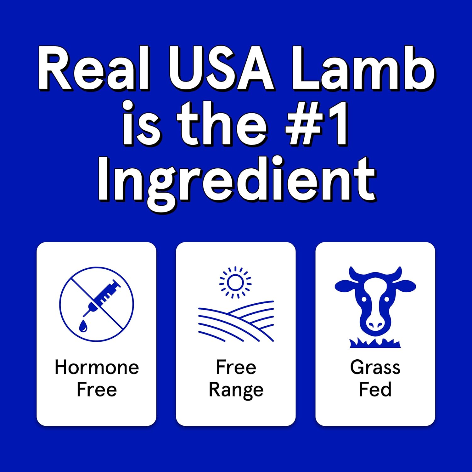Real Meat Tiny Trainer Bites Dog Treats - 1lb of USA-Made Soft & Chewy Air-Dried Lamb Training Treats for Dogs & Puppies - All-Natural Grain-Free Dog Training Treats With Free-Range Grass-Fed Lamb