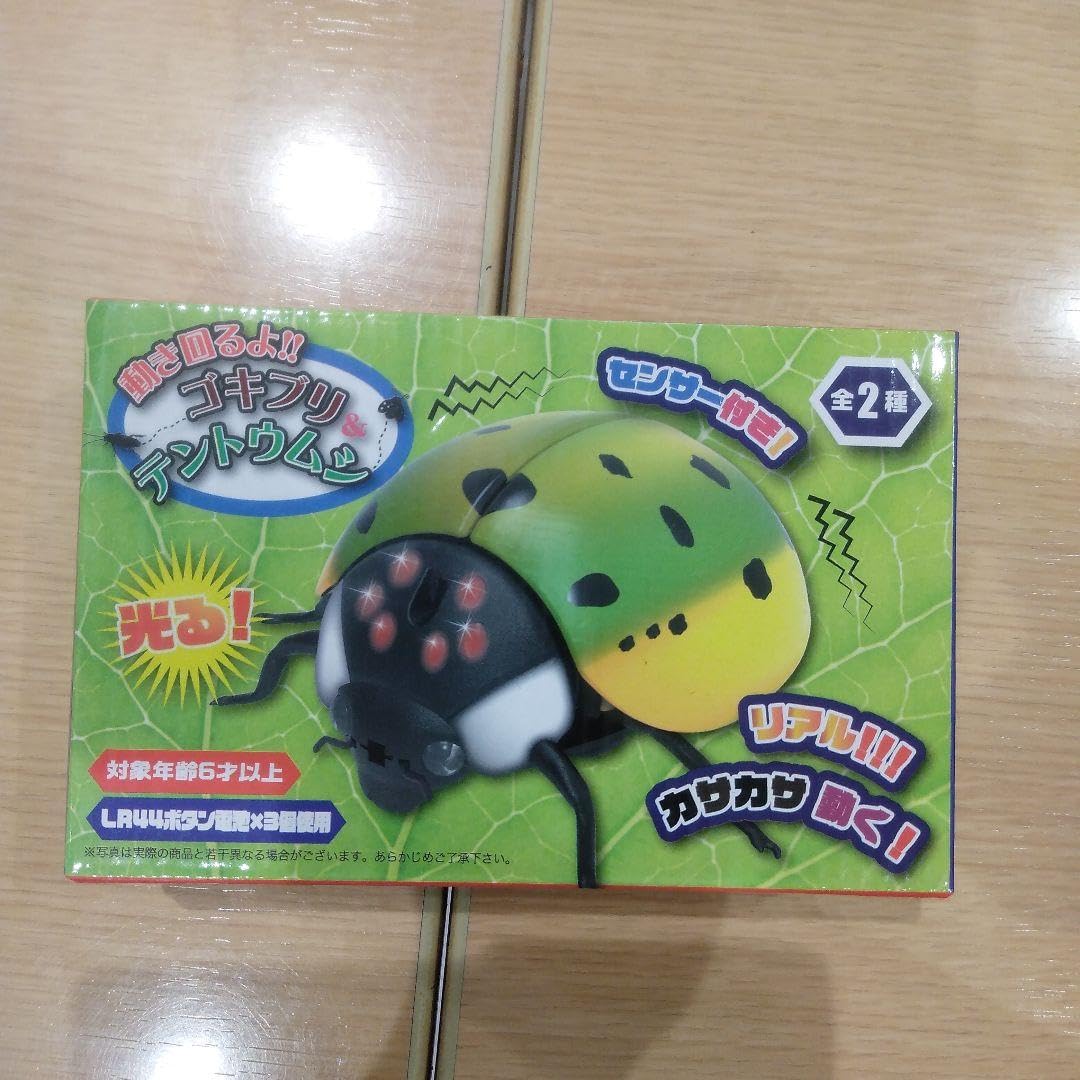 Amazon.co.jp: 動き回るよ ゴキブリ＆テントウムシ てんとう虫