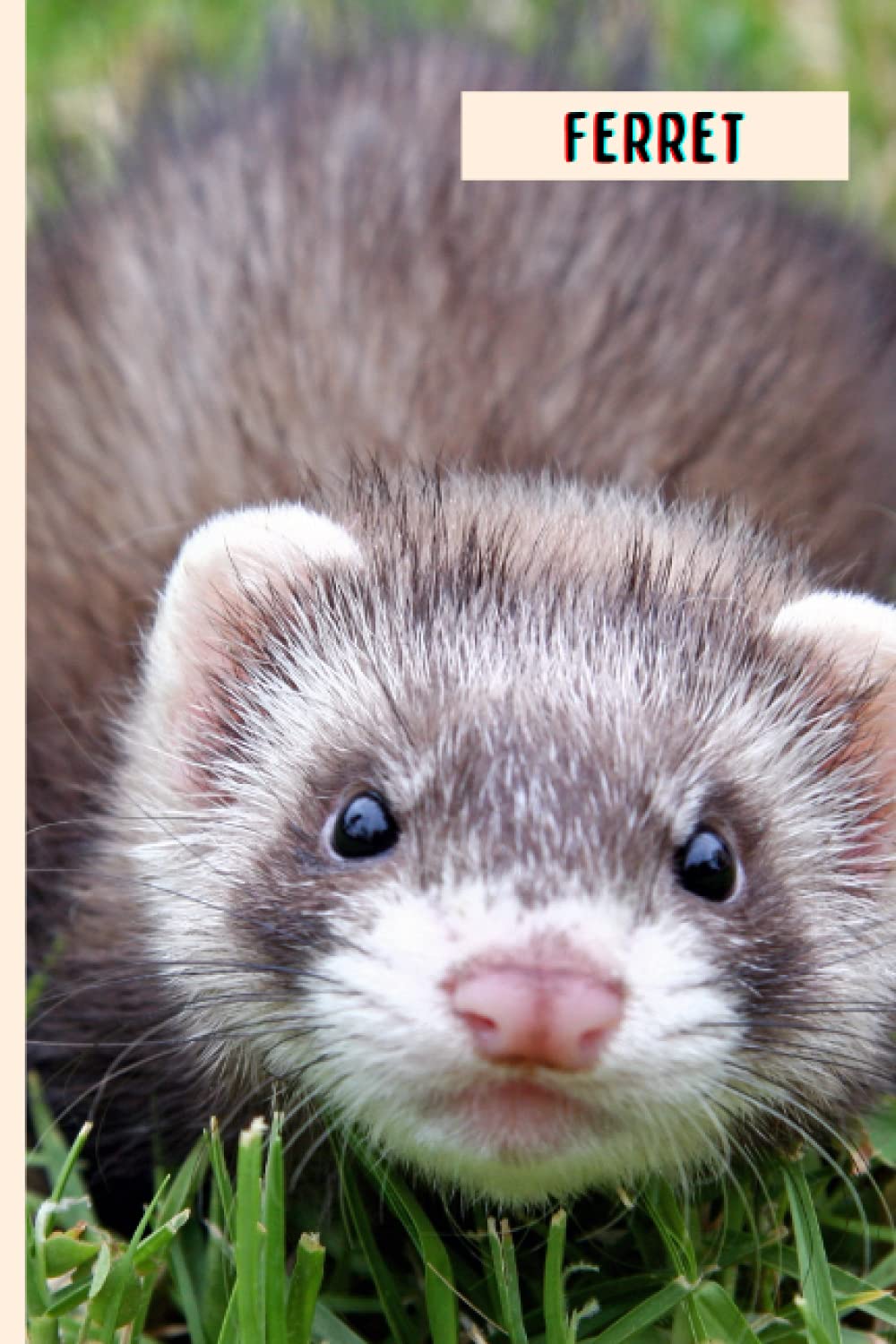 Ferret: Perfect Ferret Journal for Memories And Notes , Ferret Notebook ( 110 Pages, 6x9 )