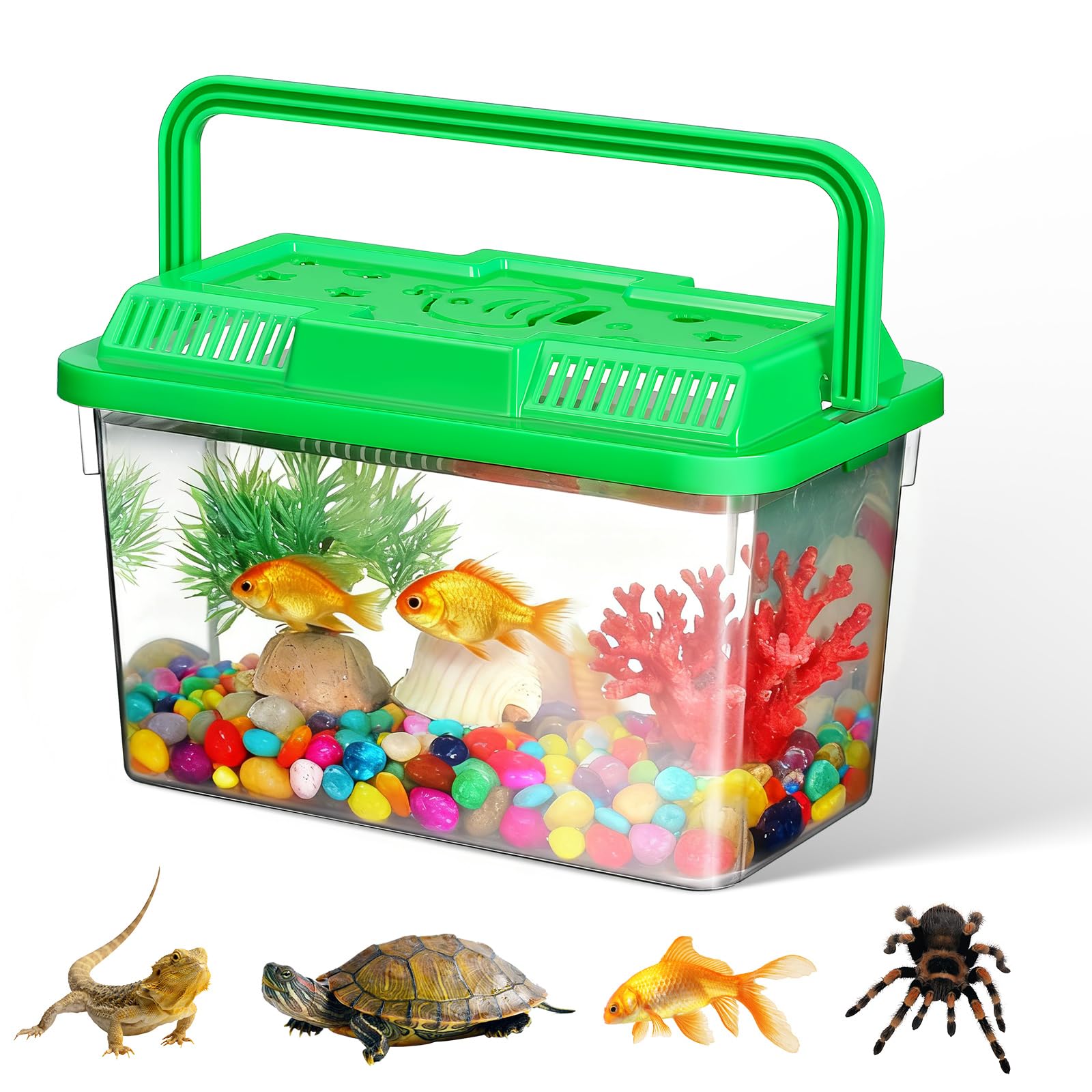 Générique Transporteur Portable pour Tortues et Poissons avec Poignée, Aquarium en Abs Transparent, Facile à Nettoyer Transporter pour Animaux de Compagnie