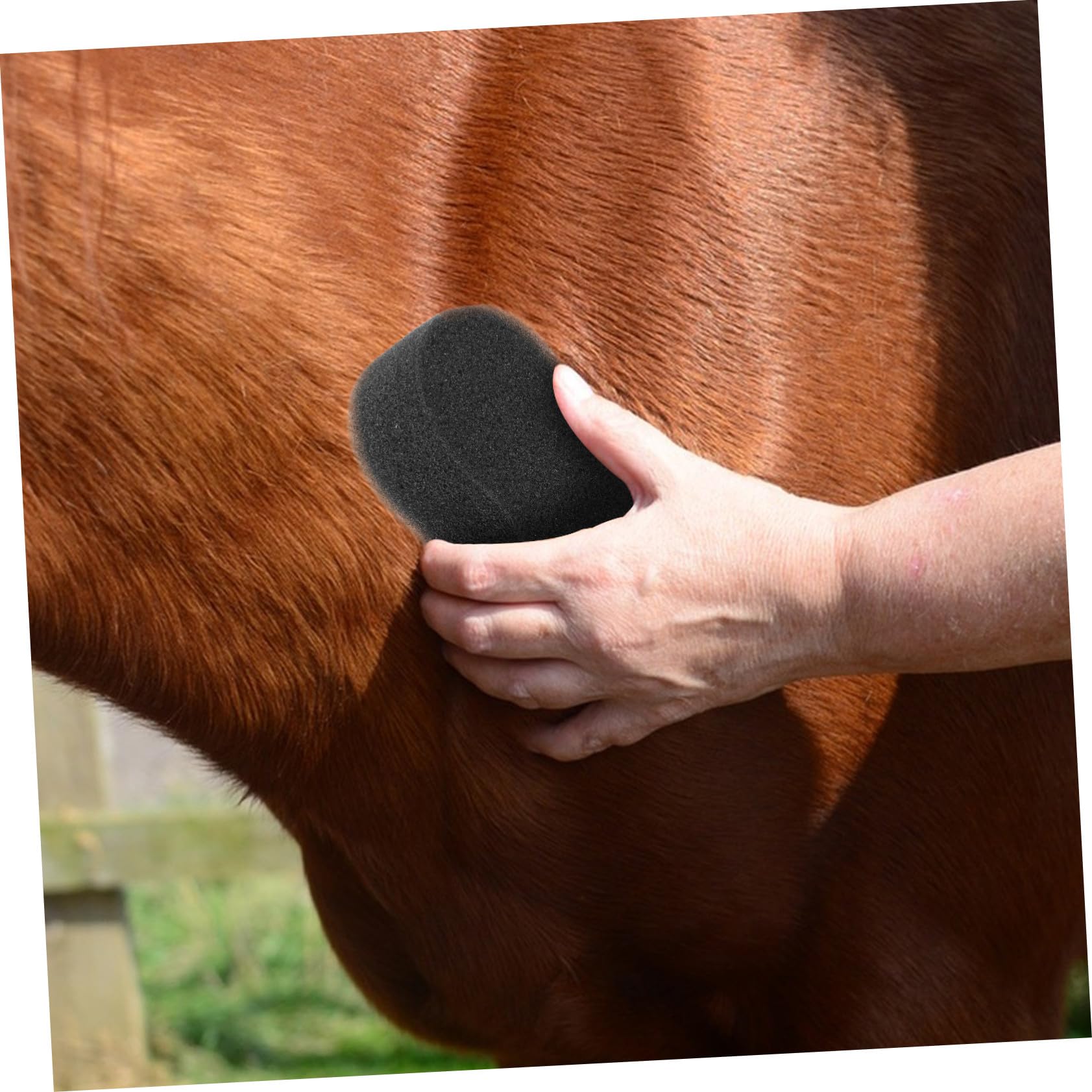 ORFOFE 5piezas Esponjas Para Limpieza y Baño De Caballos Esponjas Duraderas y Suaves Para Cuidado Animal Herramientas De Higiene Para Eliminar Suciedad y Pelo Suelto Accesorio Esencial Pa