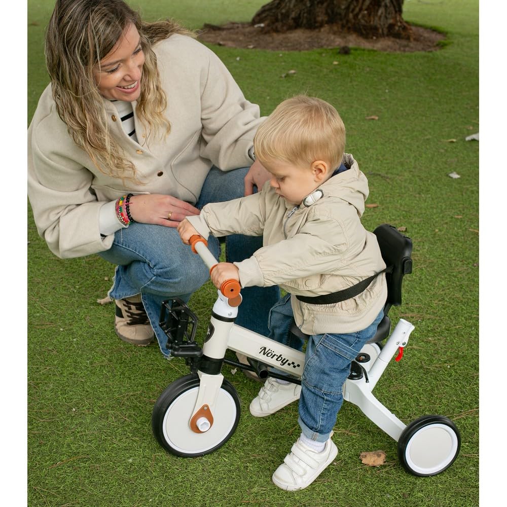 Interbaby Norby: 5 in 1 Dreirad und Laufrad mit Verdeck, 1 bis 5 Jahre