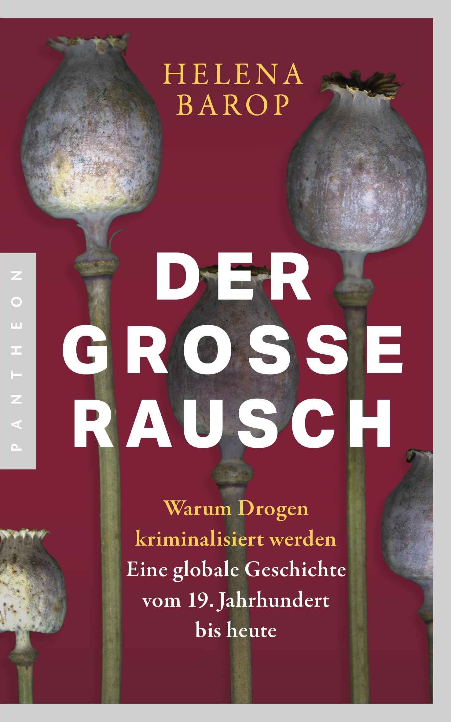 Der große Rausch: Warum Drogen kriminalisiert werden. Eine globale Geschichte vom 19. Jahrhundert bis heute
