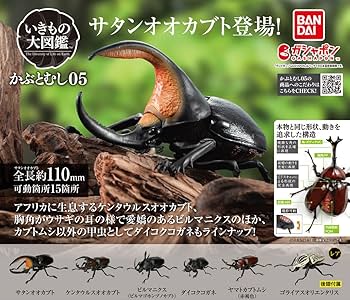 Amazon.co.jp: バンダイ(BANDAI) いきもの大図鑑 かぶとむし05