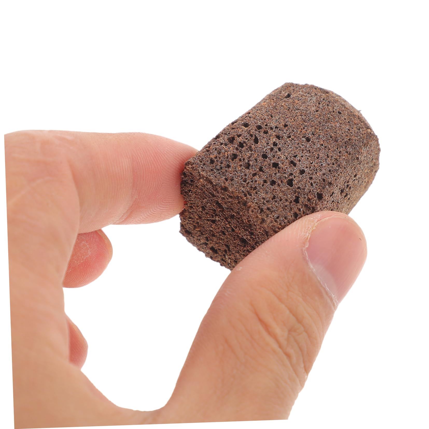 BESPORTBLE 5 Ensembles Bloc D'Éponge pour Semis Plantes Compression Terre Naturelle Fourniture De Jardinage Blocs De Démarrage De De Jardin Fournitures De 40 pièces * 5