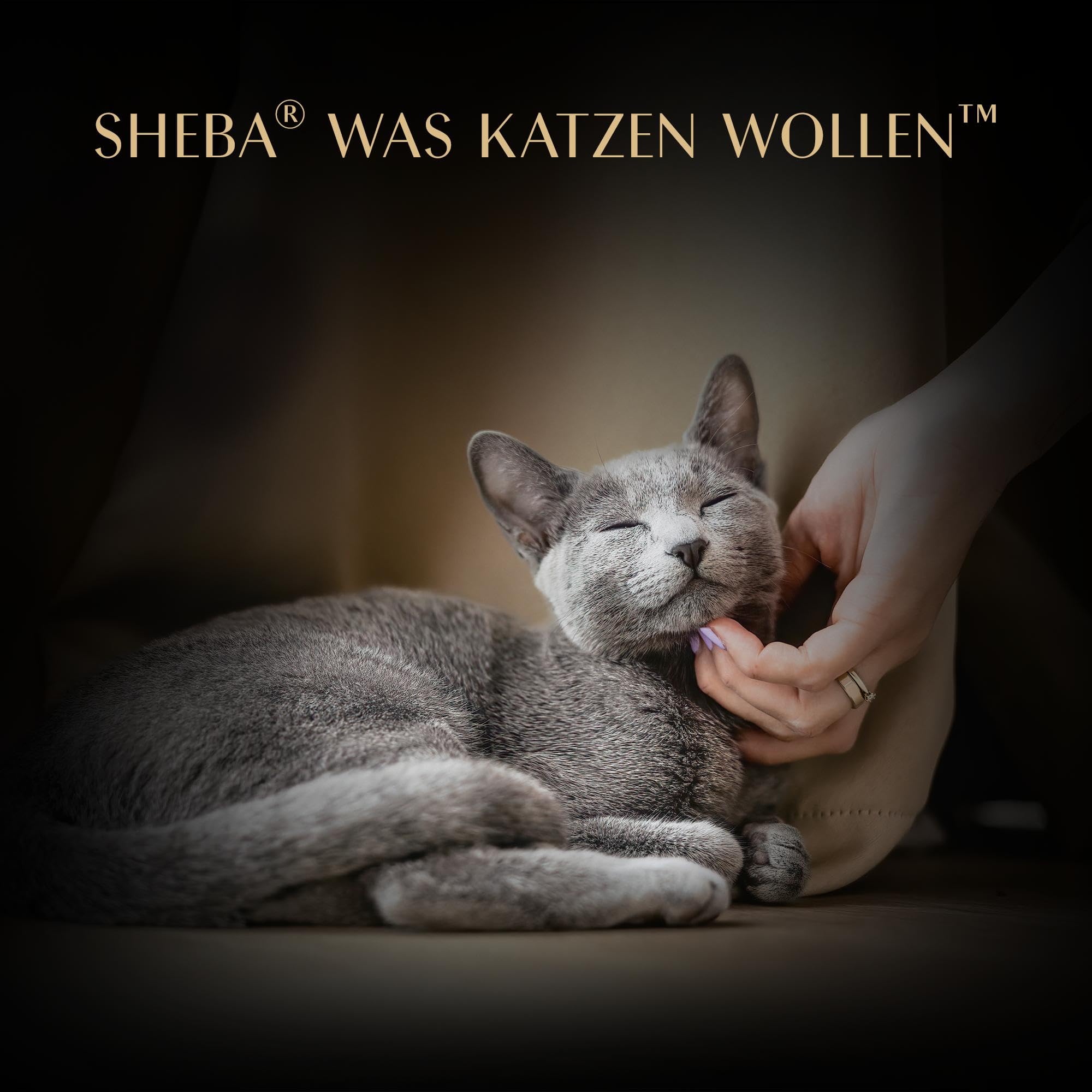 SHEBA Soup Adult Katzen-Nassfutter Portionsbeutel mit Thunfisch 10 x 4 x 40g, 40er Pack