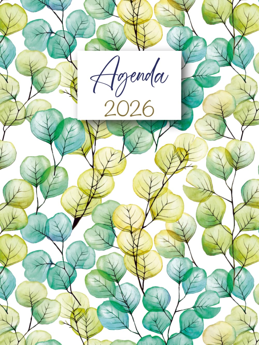 Agenda 2026 Giornaliera: Pianificatore 12 Mesi da Gennaio a Dicembre 2026 | 365 giorni | Italiano Grande A4 | 1 pagina per giorno