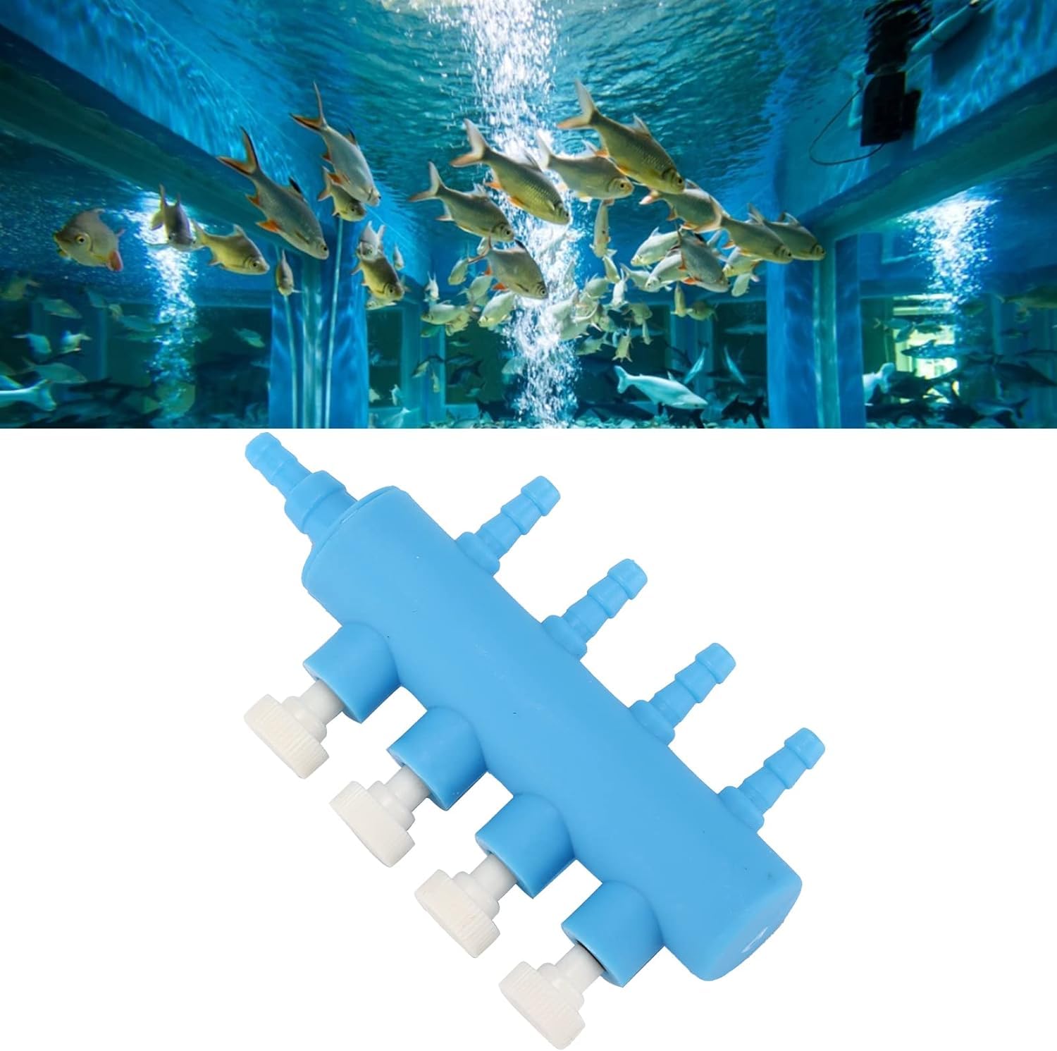 VAYINATO® Plastic (Blue) 4 Way Fish Tank Air Distributor, Aquarium Air-Pump Flows Hose Splitter for Aquarium Fish TankBy Petzlifeworld (B09C27T3S7) Amazon Price History, Amazon Price Tracker