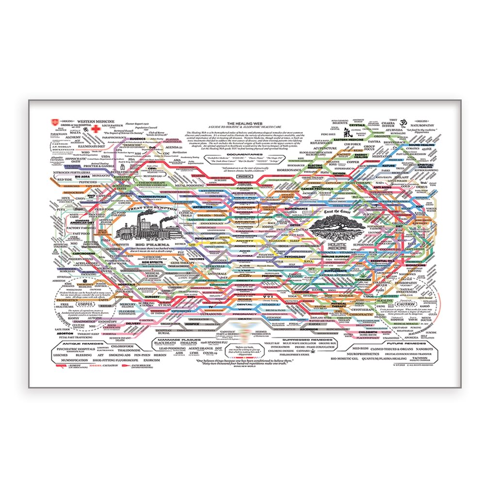 DQYZNYC Healing Web Poster Natural Remedies Chart Horizontal Poster Print Canvas Wall Art Mental Health Posters for Office Home Decor 12x18 Inch, Unframed