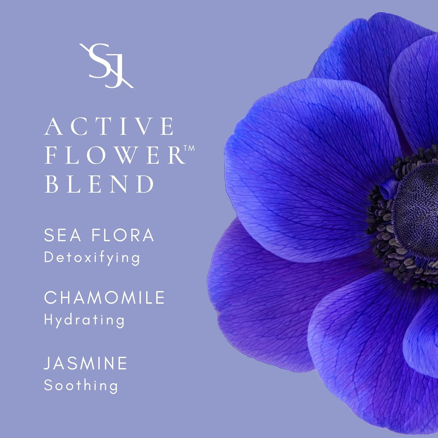 SAINT JANE - Hydrabloom Body Silk | Luxury, Floral-Infused, Clean Skincare (4 oz | 120 ml) - Image 7