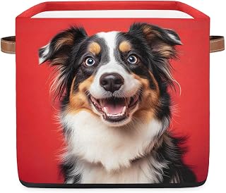Australian Shepherd Storage Cubes, 13 Inch Collapsible Storage Bins with Handles, Funny Dog Fabric Storage Baskets Boxes for Shelves, Clothes, Closet Organization