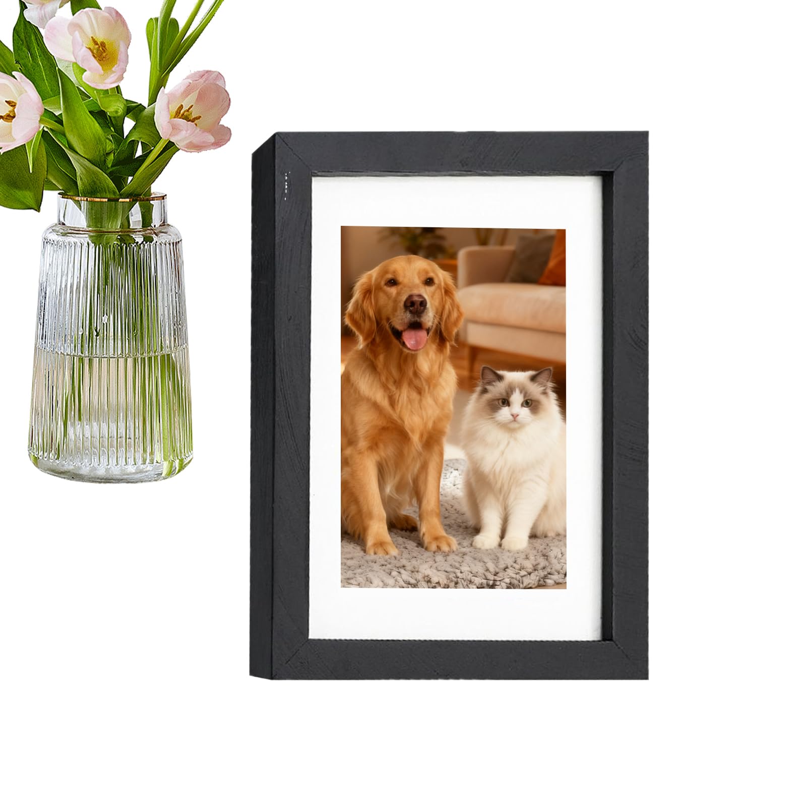 Cadre photo portable pour cacher votre passeport et sécuriser votre intérieur