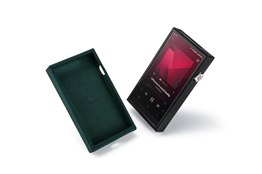 【极美品/本革ケース2つ付】Astell&Kern SE300 极美品/本革ケース2つ付】Astell&Kern SE300 SE300 Leather Case