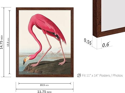 Miniatura 104 de Poster Master Póster vintage de flamenco americano, estampado retro de flamenco rosa, arte de pájaro, regalo para él, ella, amante de los animales,