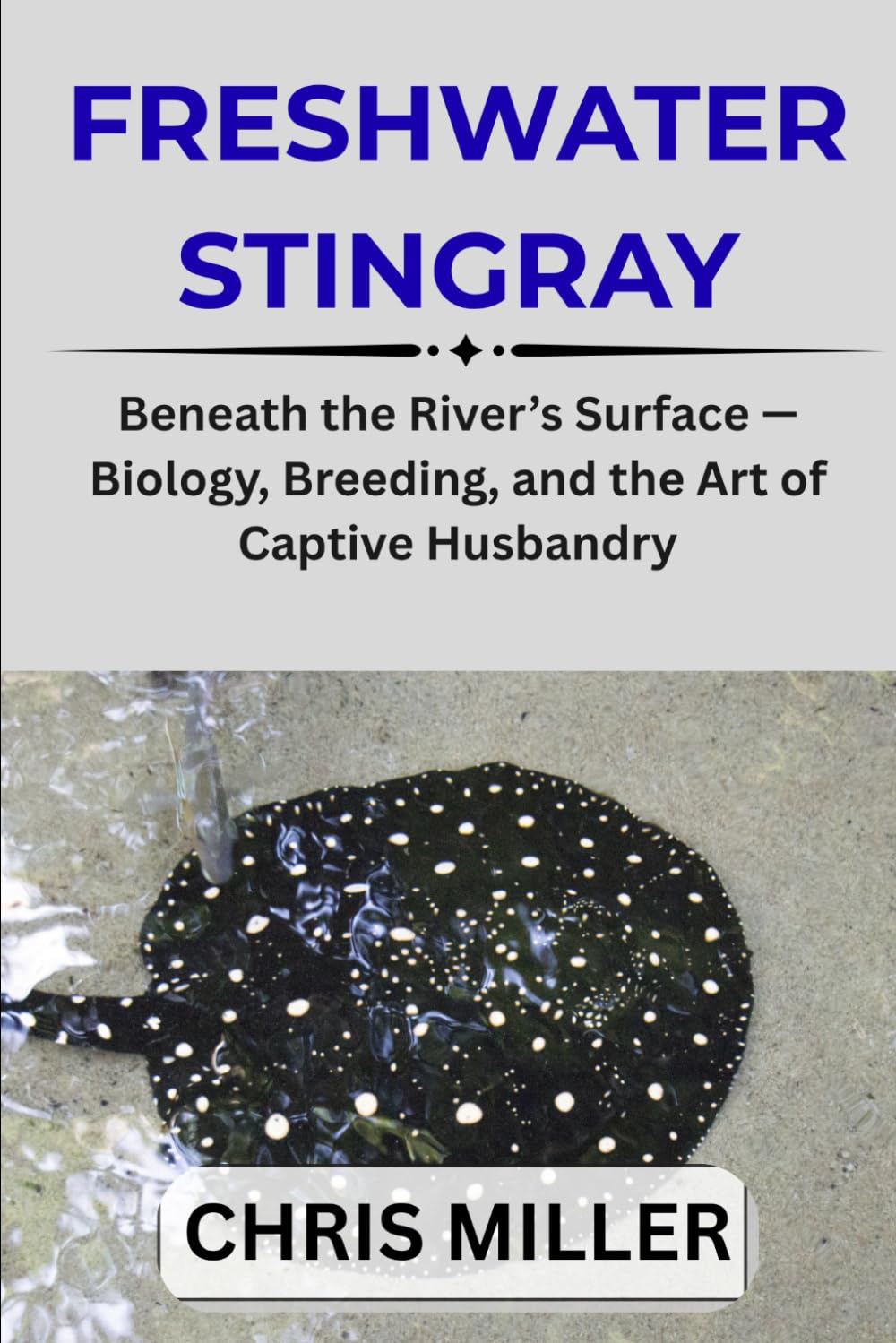 FRESHWATER STINGRAYS: Beneath the River’s Surface — Biology, Breeding, and the Art of Captive Husbandry