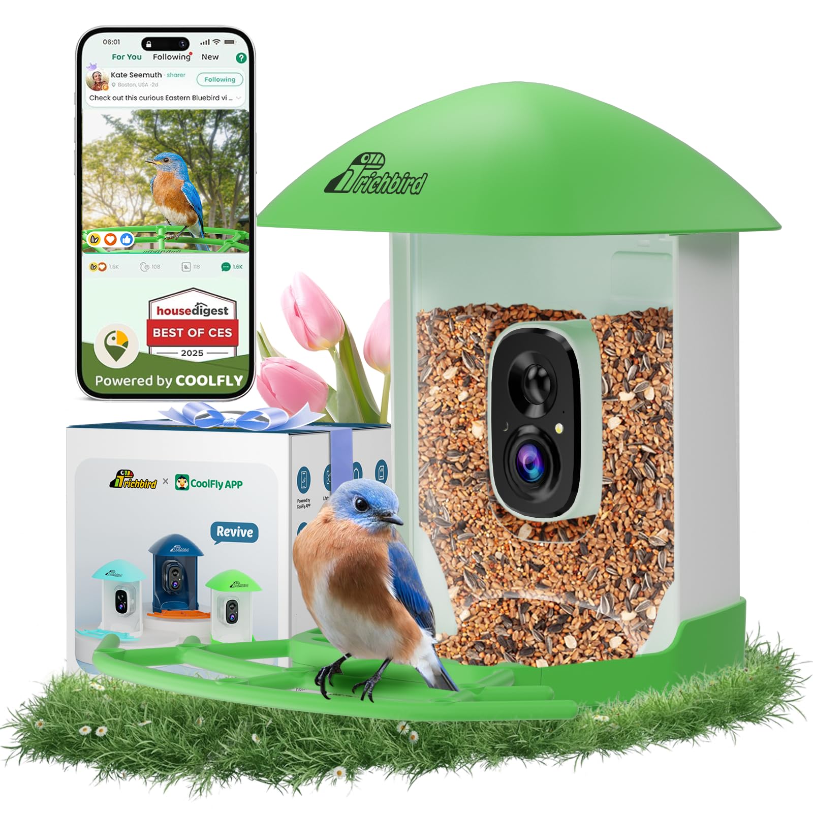 Bird Feeder with Camera, Smart Bird House with Cam for Outside, 2K HD Auto Record Video, AI Identification & Instant Alerts, Solar Powered, Bird