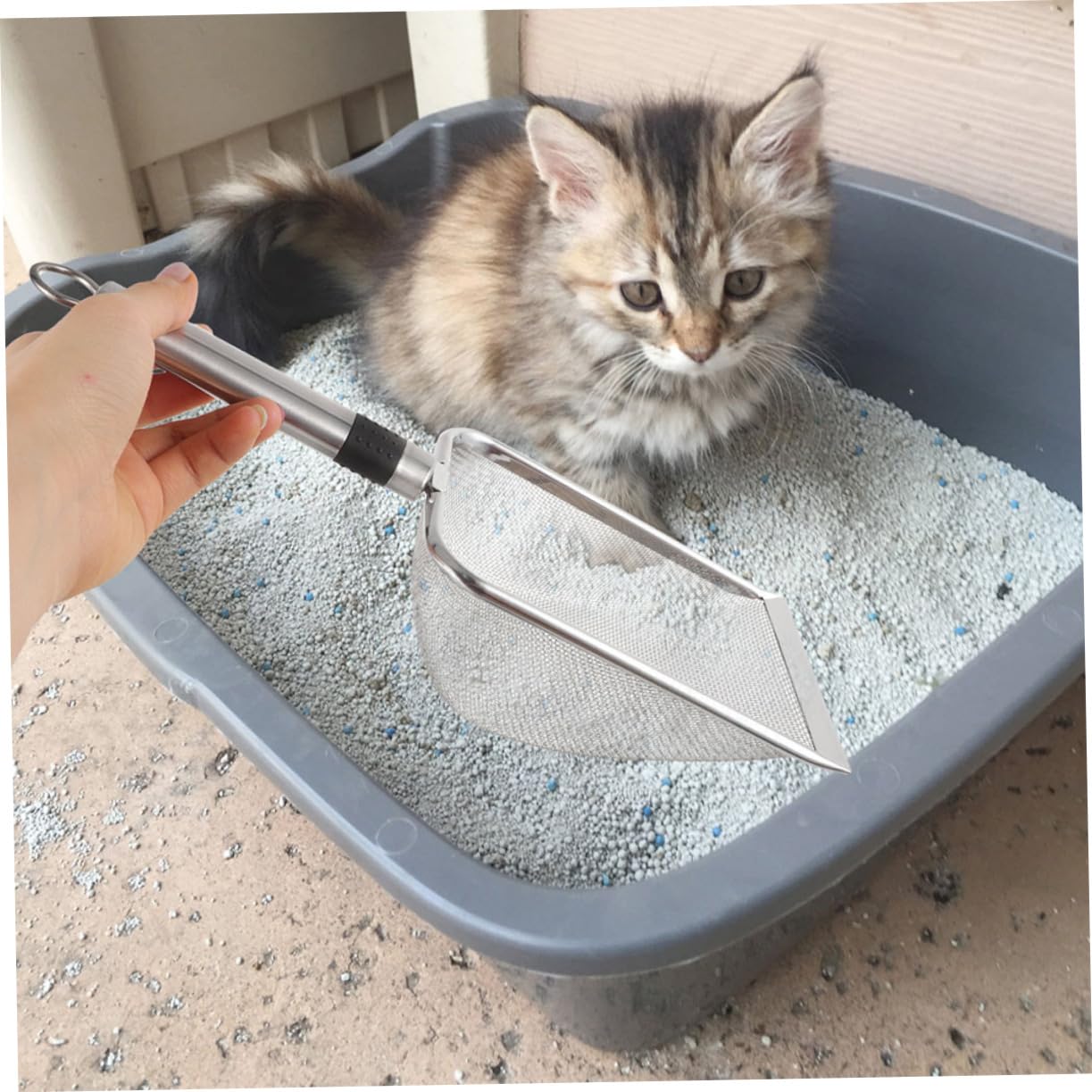 Paletta Per Lettiera in Acciaio Inossidabile Pala Per Lettiera Per Rettili E Animali Domestici Strumento Pulizia