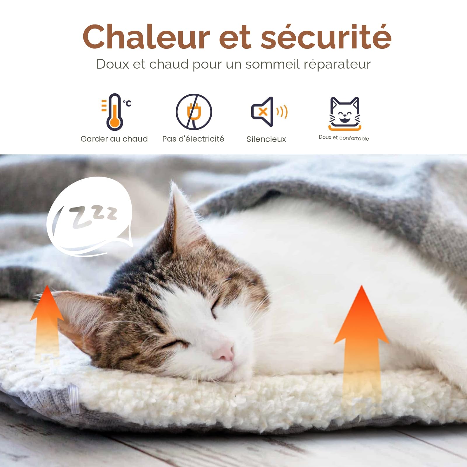 Lits pour Chats Auto-Chauffants pour Chats de Grande Taille et Petits Chiens - 60x45 cm - Lits pour Chats Lavables, Réversibles et Convertibles pour Chats d’Intérieur, Doux et Moelleux
