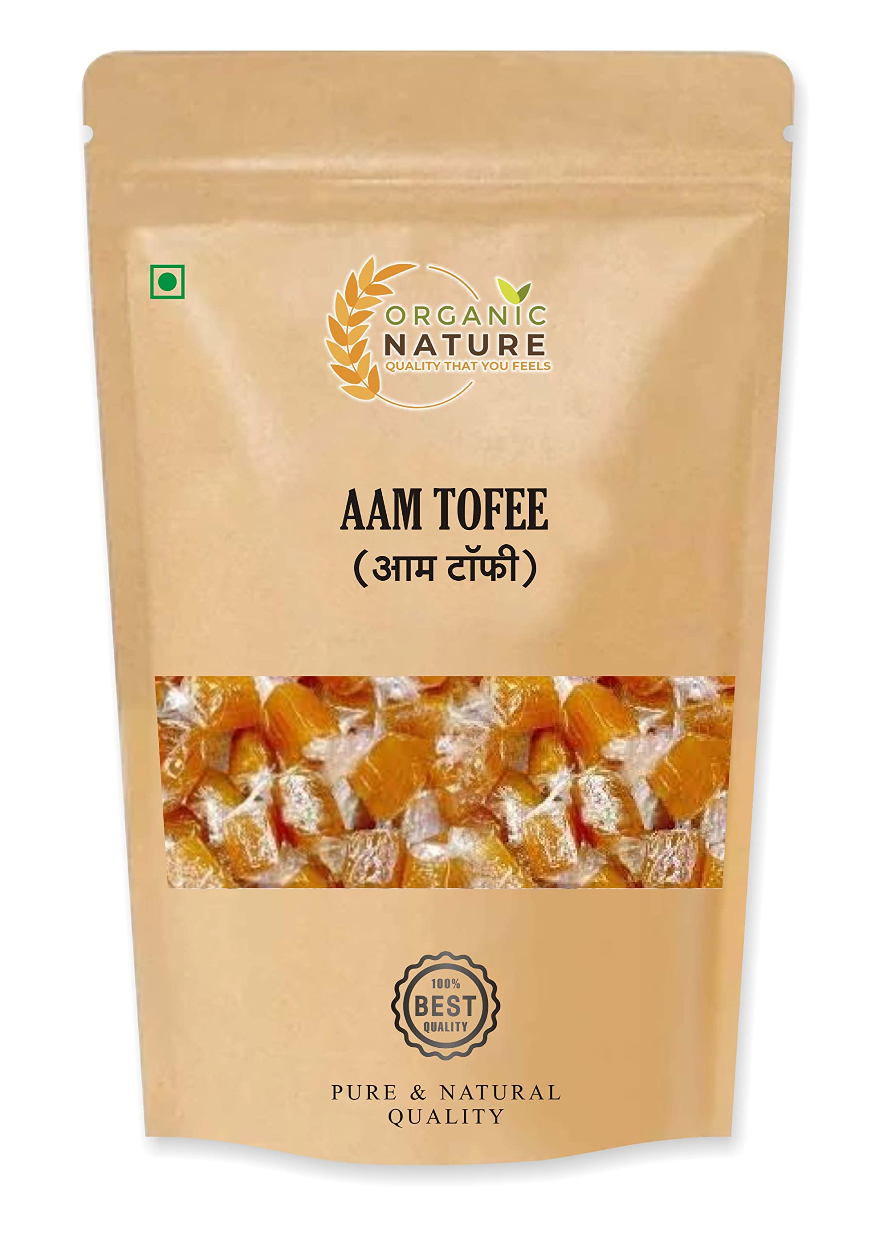 Organic Nature Aam Papad - Alphonso Mango Cubes Real Mango Candy (450 Gram) (B08GQFDJZF) Amazon Price History, Amazon Price Tracker