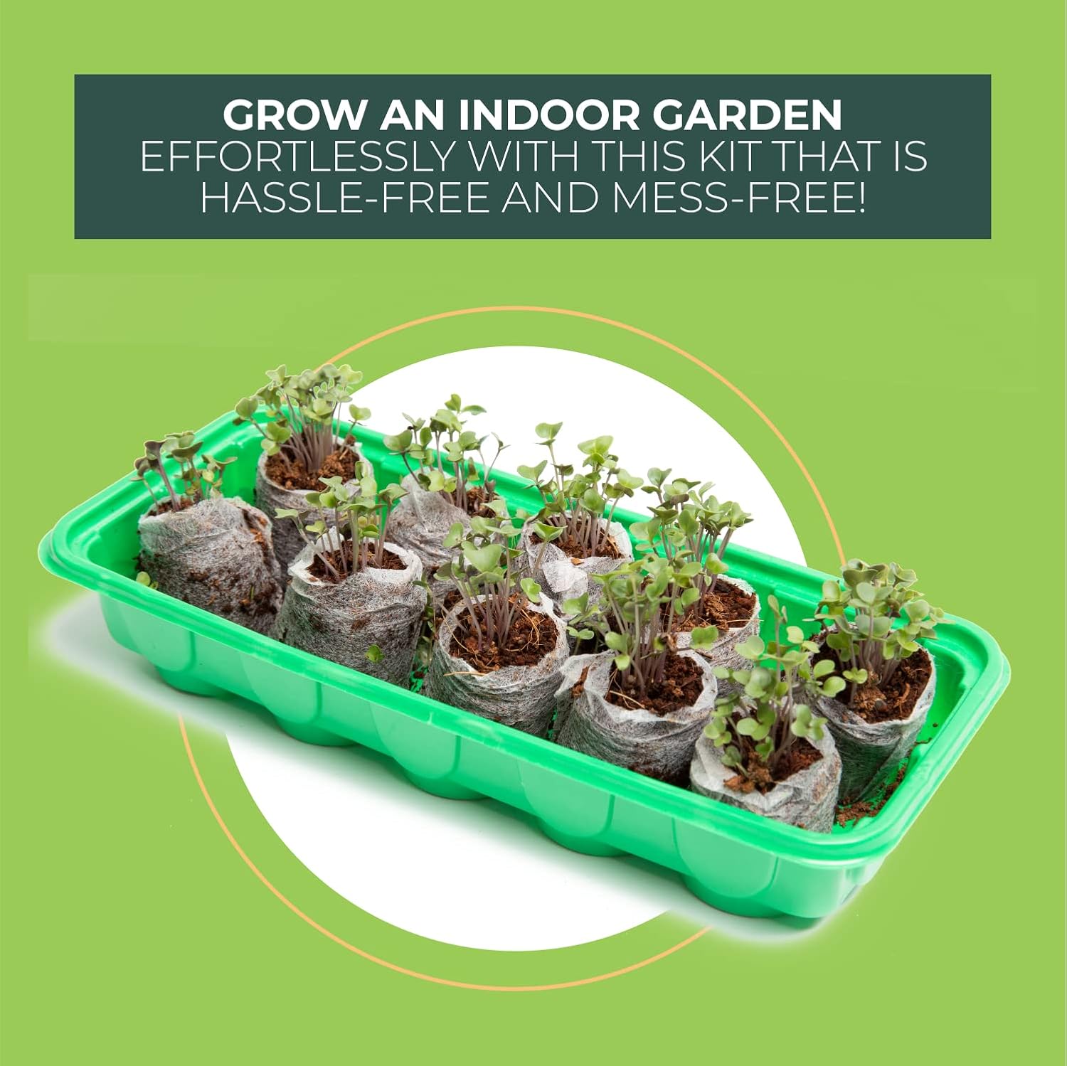 Window Garden Mini Indoor Greenhouse Seed Starter - Reusable Plastic Container - Trays with Dome and Seedling Soil Pods - 3-Pack Windowsill Greenhouse Kits & 30 Cells Seed Starting Kit