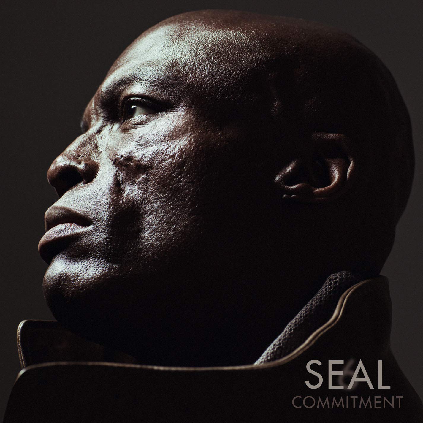 6: Commitment [Audio CD] Seal