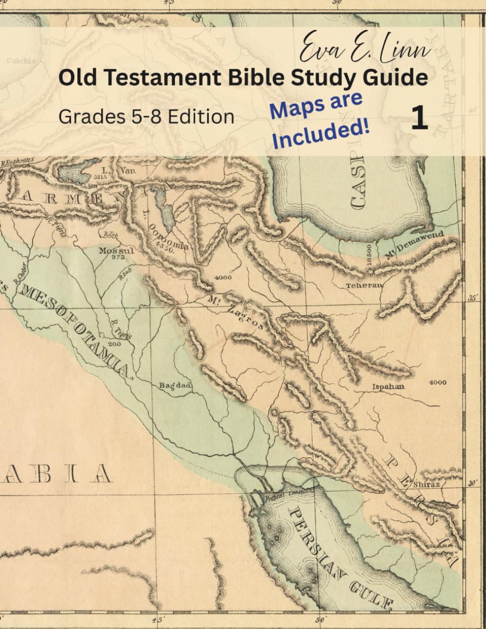 Old Testament Bible Study Activity Guide 5-8 Edition