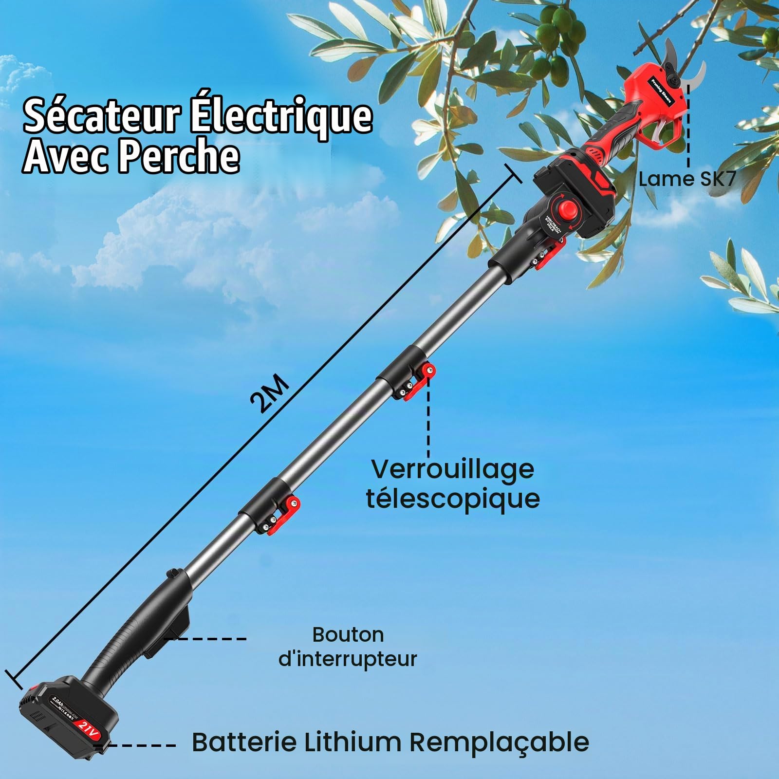 Marketo Sécateur électrique avec perche 2 M(6.56ft), Portée Totale 4 M, avec 800 w Moteur sans balais & Écran,45 MM Secateur electrique sans fil avec 2 x 2.0Ah Batteries pour les branches et le jardin