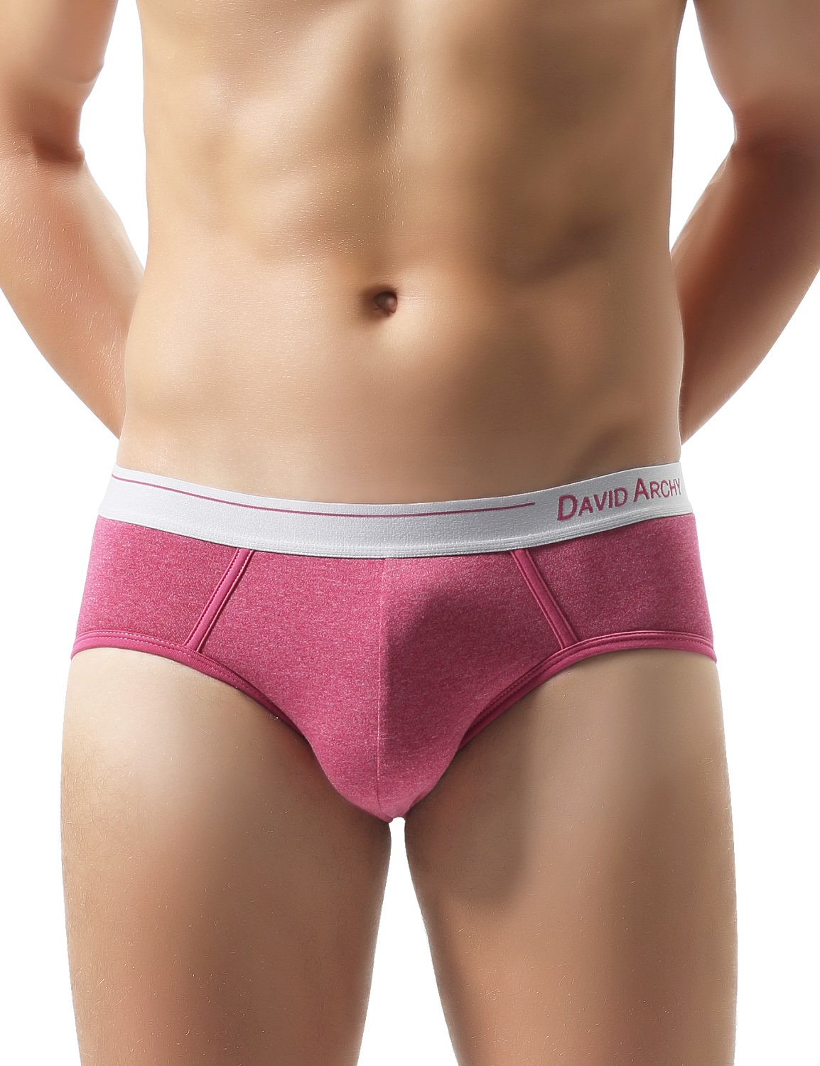 DAVID ARCHY Men's 4 Pack Fashion Heather Cotton Briefs