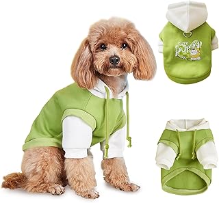 Chihuahua Kleidung, FainFun Hundebekleidung, Hunde Weihnachtspullover, Hunter Hundepullover, Schützt das Gesicht Ihres Hundes oder Ihrer Katze, mit Schlepplöchern (Weiß Grün, M) product image
