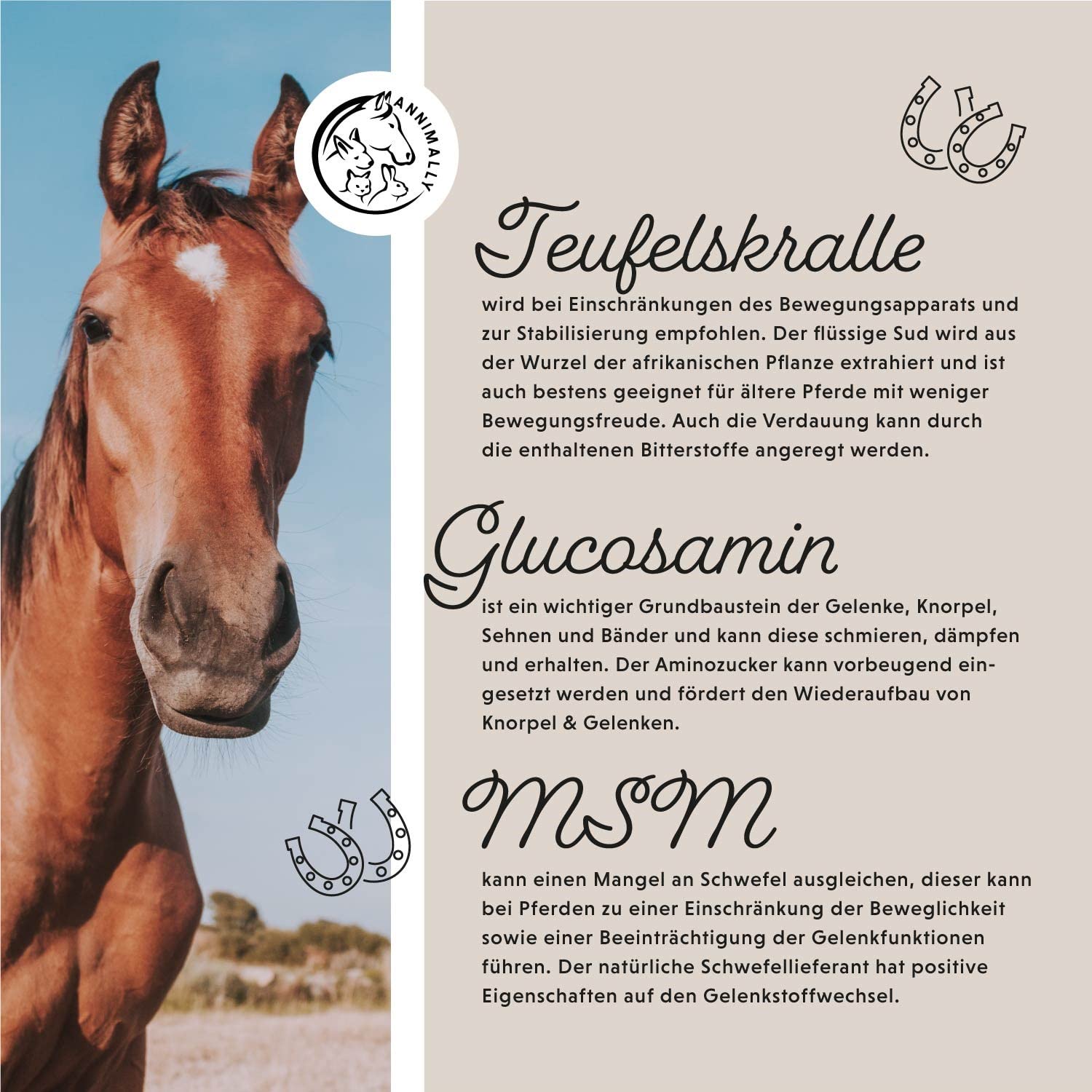 Annimally Gelenk Liquid für Pferde 1000ml mit Teufelskralle, Glucosamin und MSM (Schwefel) flüssig - Für die Stärkung der Gelenke beim Pferd - Alternative zu Pulver