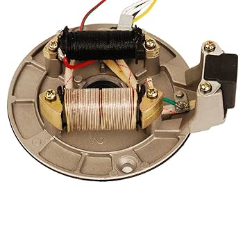 Amazon.com: HIFROM New Ignition Stator Magneto Plate Pit
