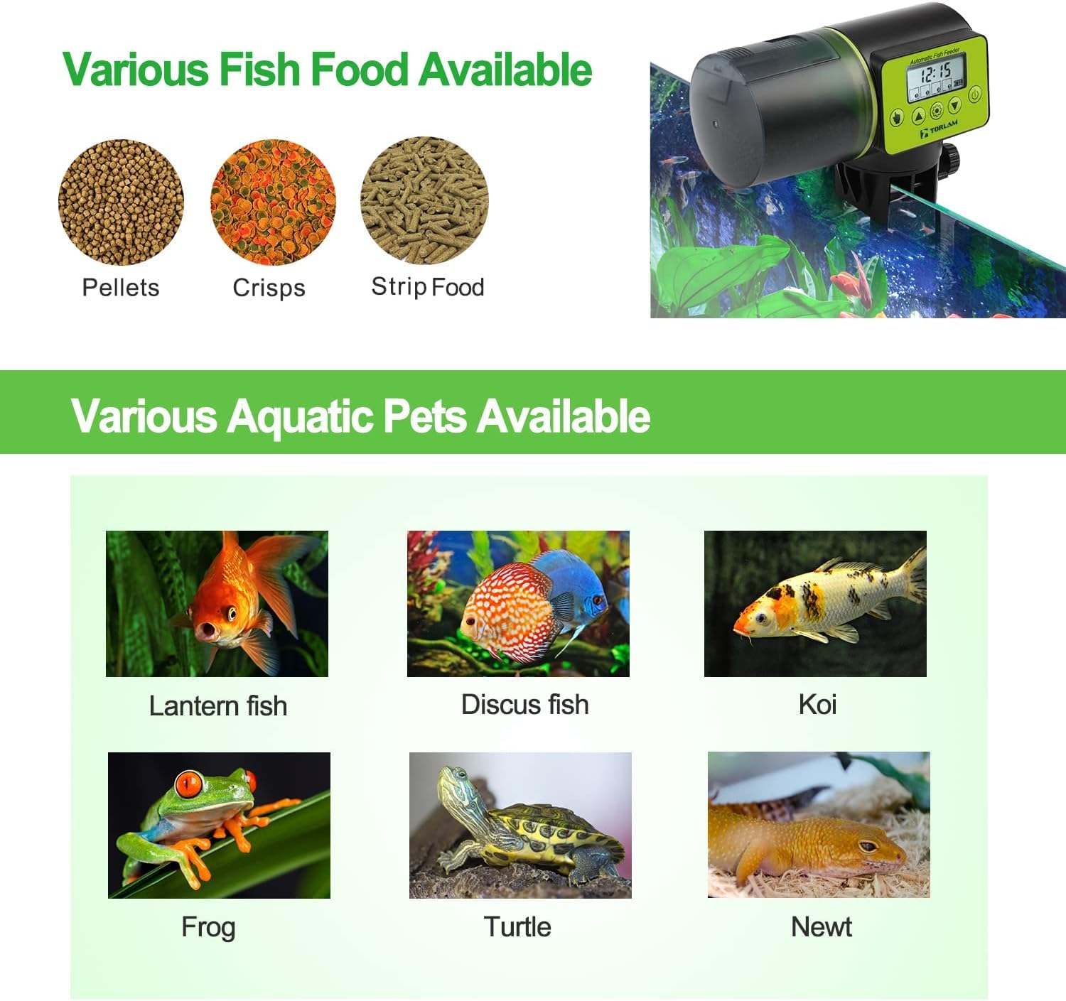 Alimentatore per acquari con display LCD a batteria e timer