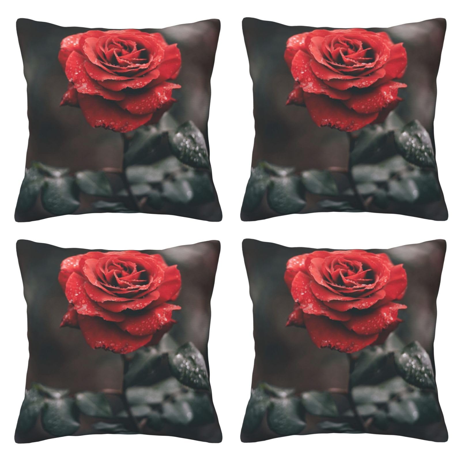 Housse de coussin douce BAFAFA motif roses romantiques pour salon élégant 45 cm