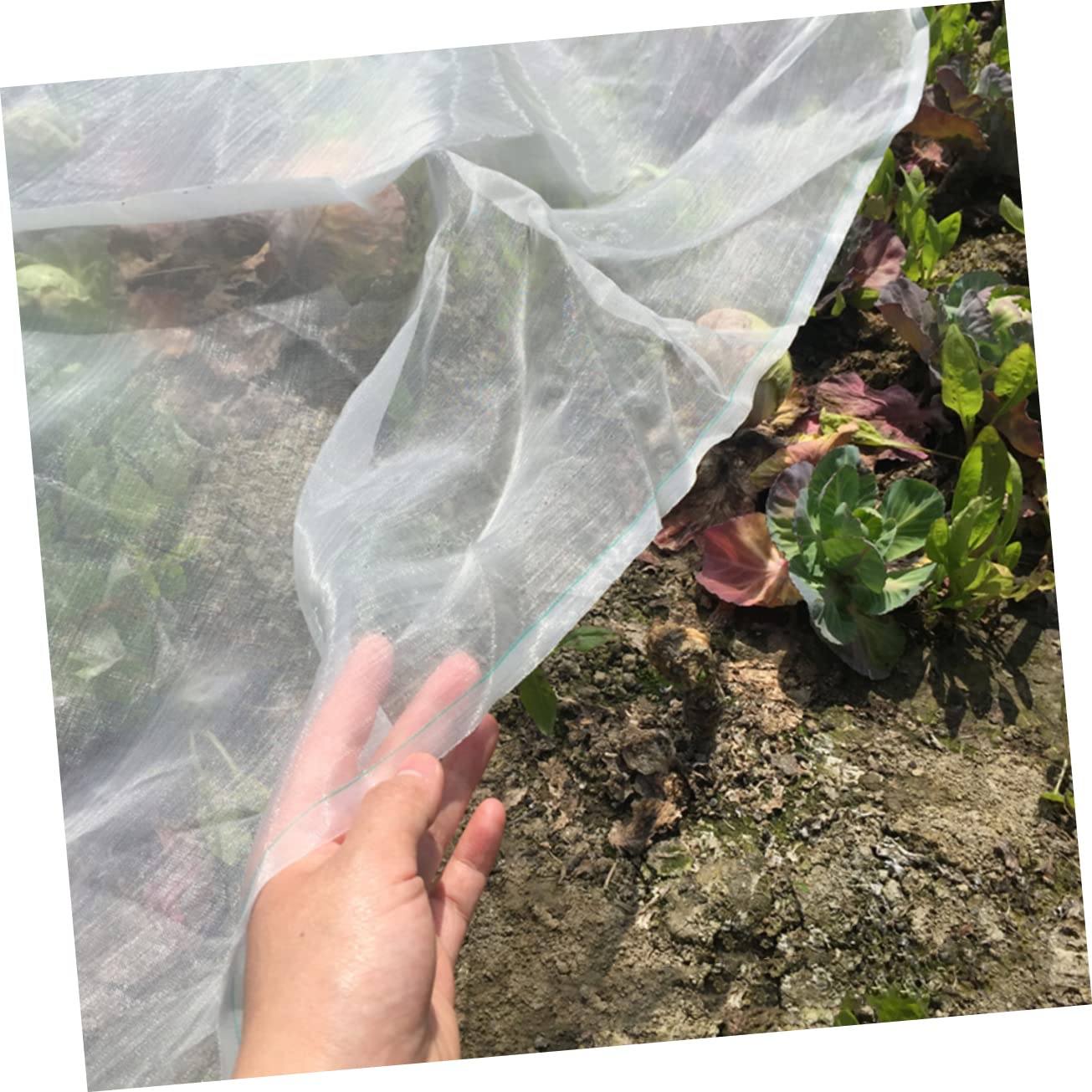 Rete Anti-insetti da Giardino in Nylon, Maglia 40, Bianca, Traspirante e Resistente, per Orto, Frutta e Verdura