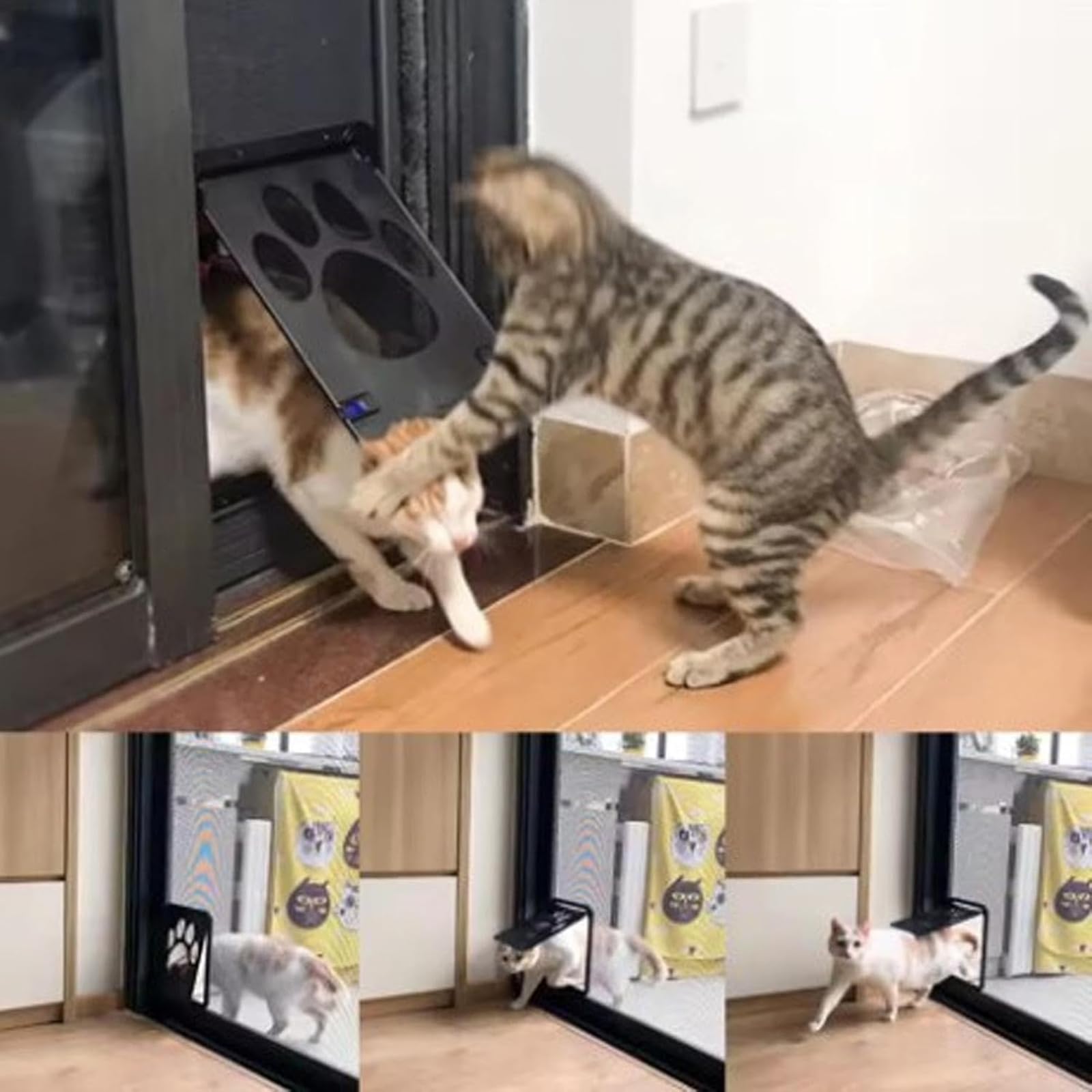 Generico Gatera para gatos, 29 x 24 cm, puerta para gatos con cierre automático, puerta para gato, mosquitera para gato