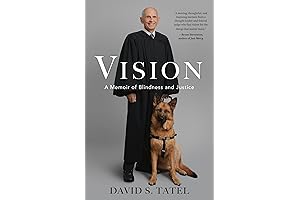 The Vision: A Memoir of Blindness and Justice by Aaron Kirk