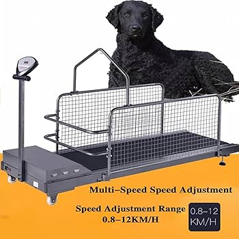 Amazon.co.jp: ペットドッグランニングマシン、中型/大型犬用犬