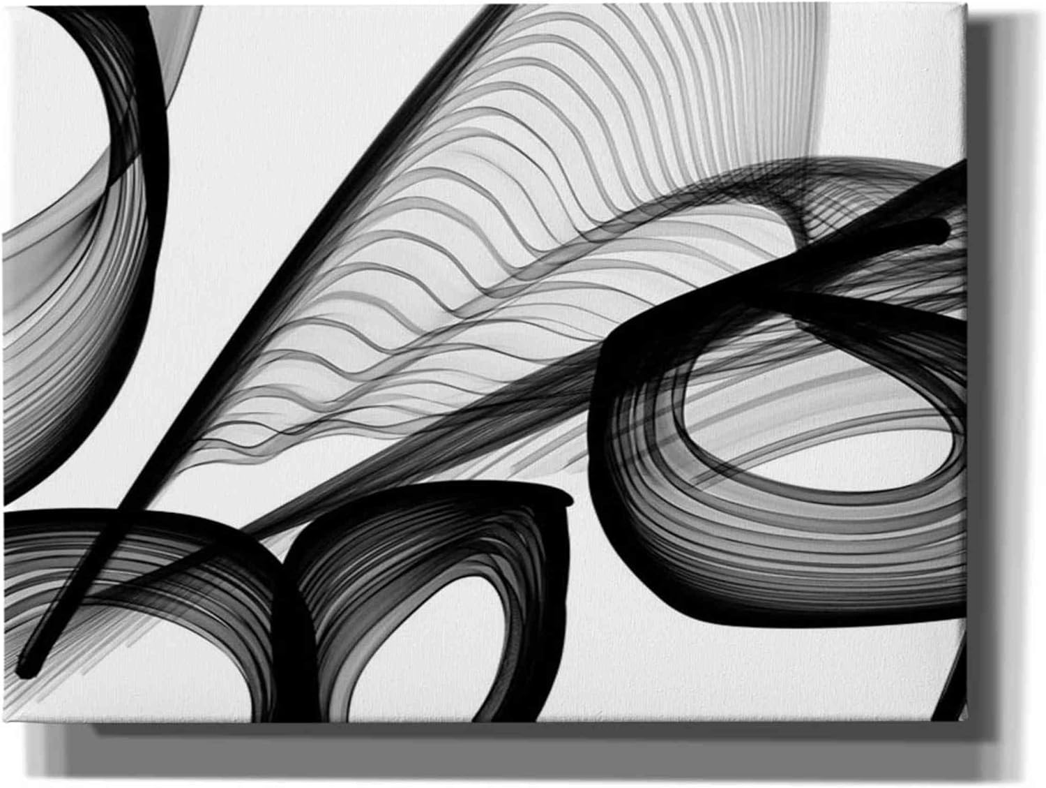 Epic Graffiti 'Abstract Black and White 22-21' by Irena Orlov, Canvas Wall Art, 16"x12"