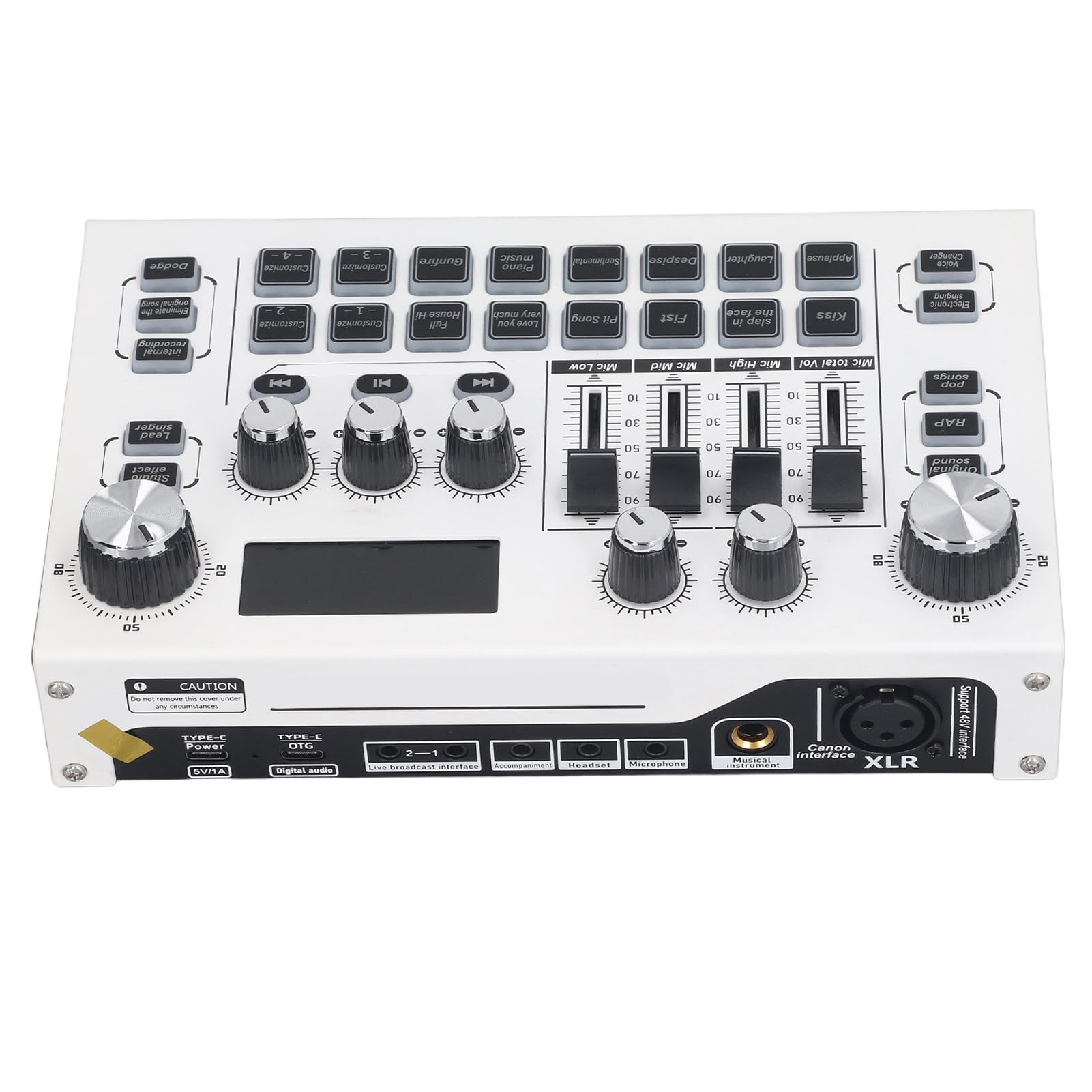 Dilwe Mixer Digitale Portatile, Scheda Audio USB Dual Core, Registrazione di Spettacoli in Studio per Appassionati di Musica
