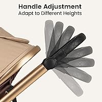 Vista 4 de INFANS Cochecito de bebé 2 en 1, cochecito plegable para recién nacido, cuna convertible para bebé, plegable, alta absorción de impactos con asiento