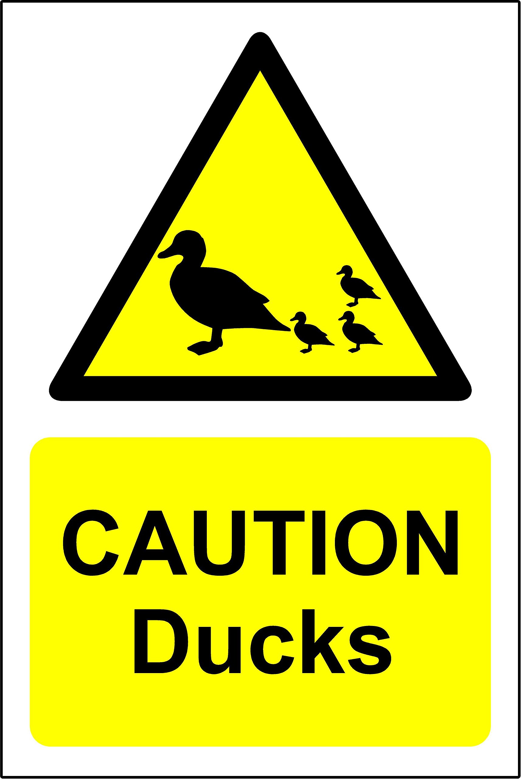 Caution ducks warning Safety sign - Self adhesive sticker 300mm x 200mm
