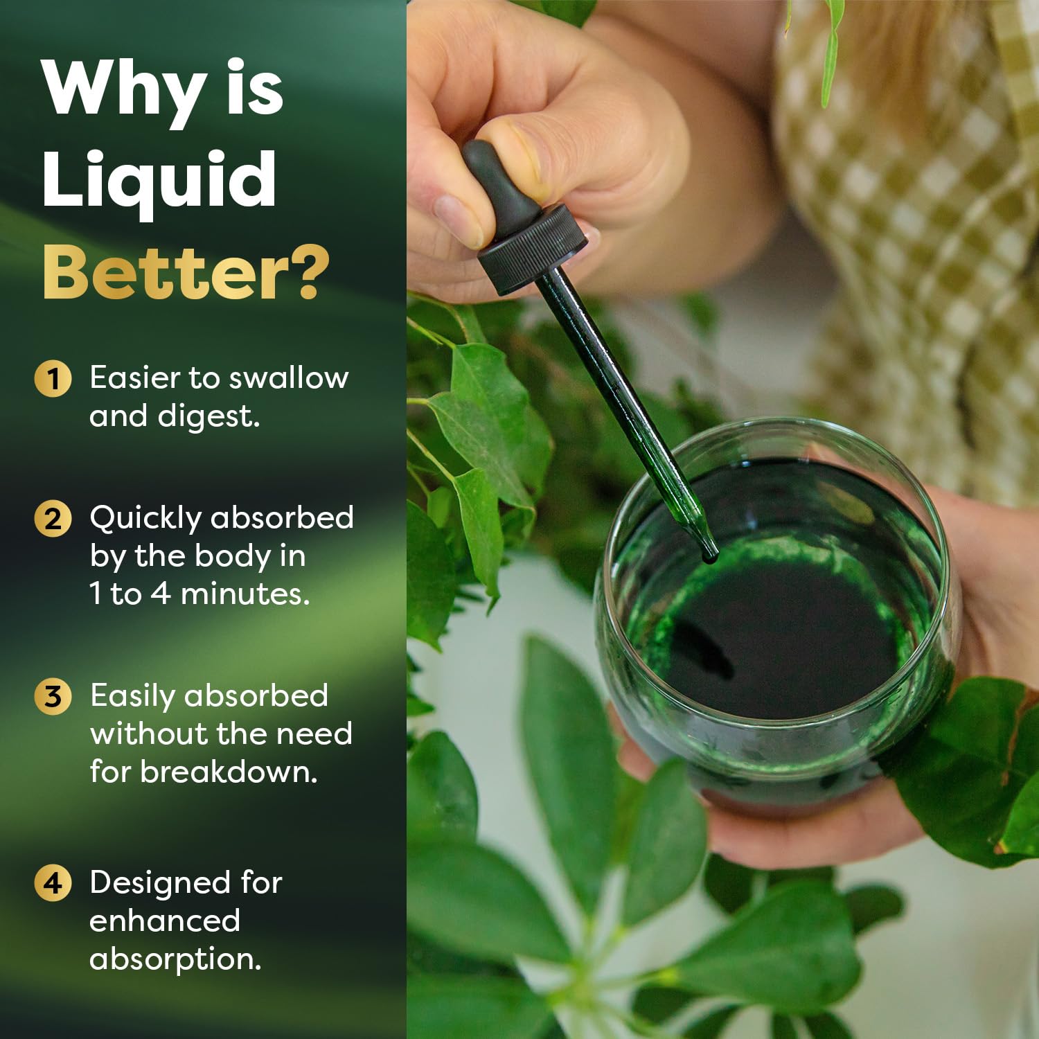 Best Naturals Liquid Chlorophyll Drops 50 mg, 2 Fl Oz, Natural Detox Supplement, Supports Energy, Digestion & Skin Health, Vegan, Non-GMO, Easy Absorption Liquid Chlorophyll Supplement — Amazon image 4