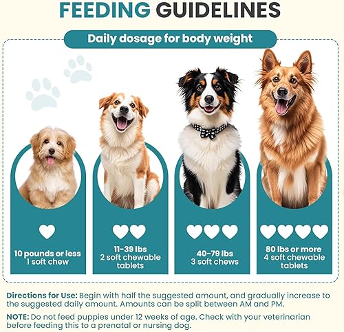 Miniatura 6 de Probióticos para perros Salud intestinal Digestiva Probióticos masticables para perros Enzimas digestivas Aliviar la diarrea Inmunidad Problemas