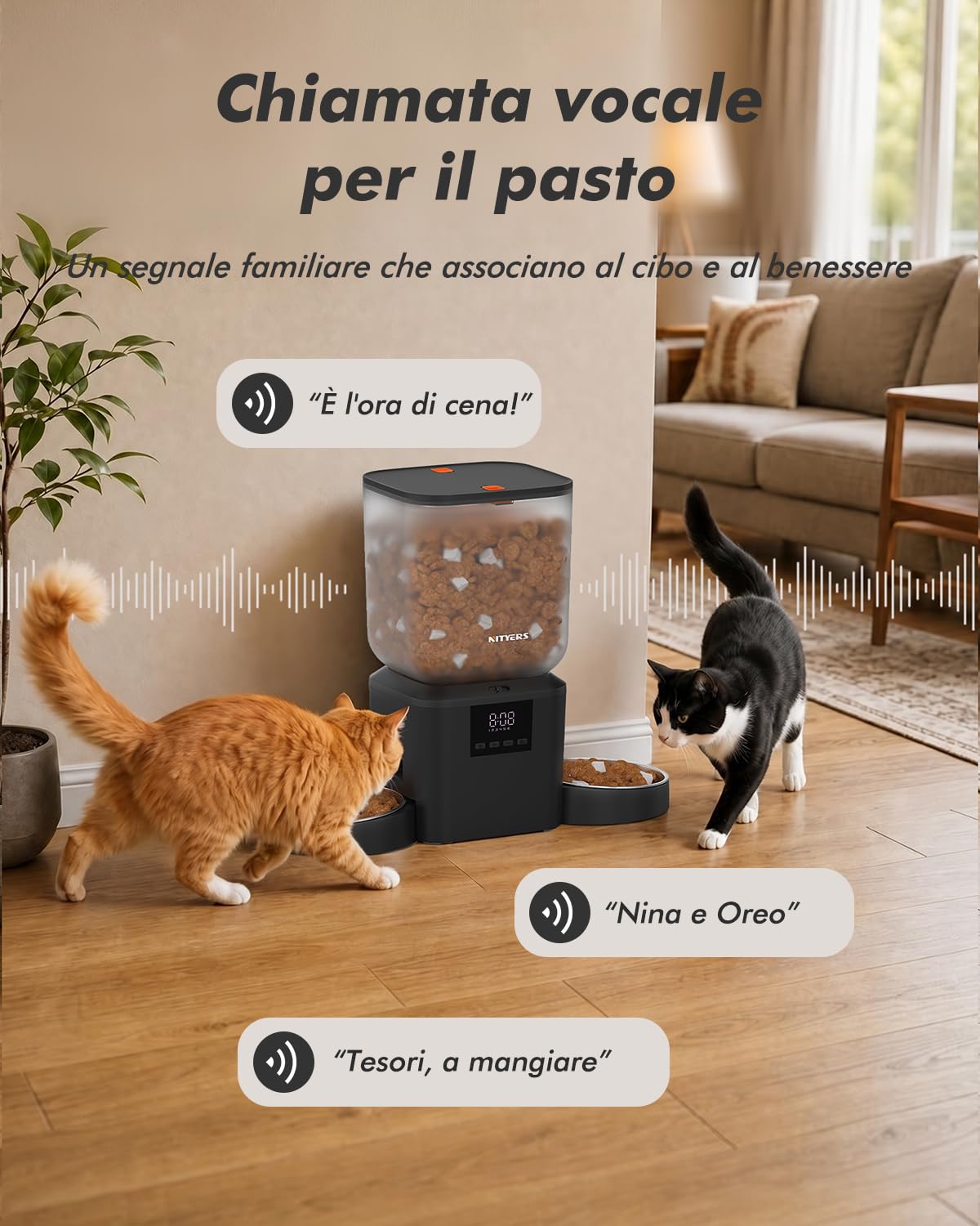 Distributore automatico cibo gatti con 2 ciotole, capacità 8L | croccantini fino a 18mm, senza blocchi, ciotole in acciaio inox, facile da pulire, doppia alimentazione, per più gatti e cani