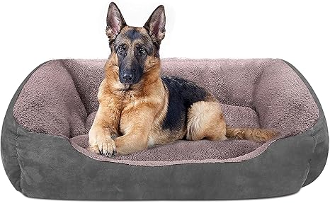 xx large dog bed