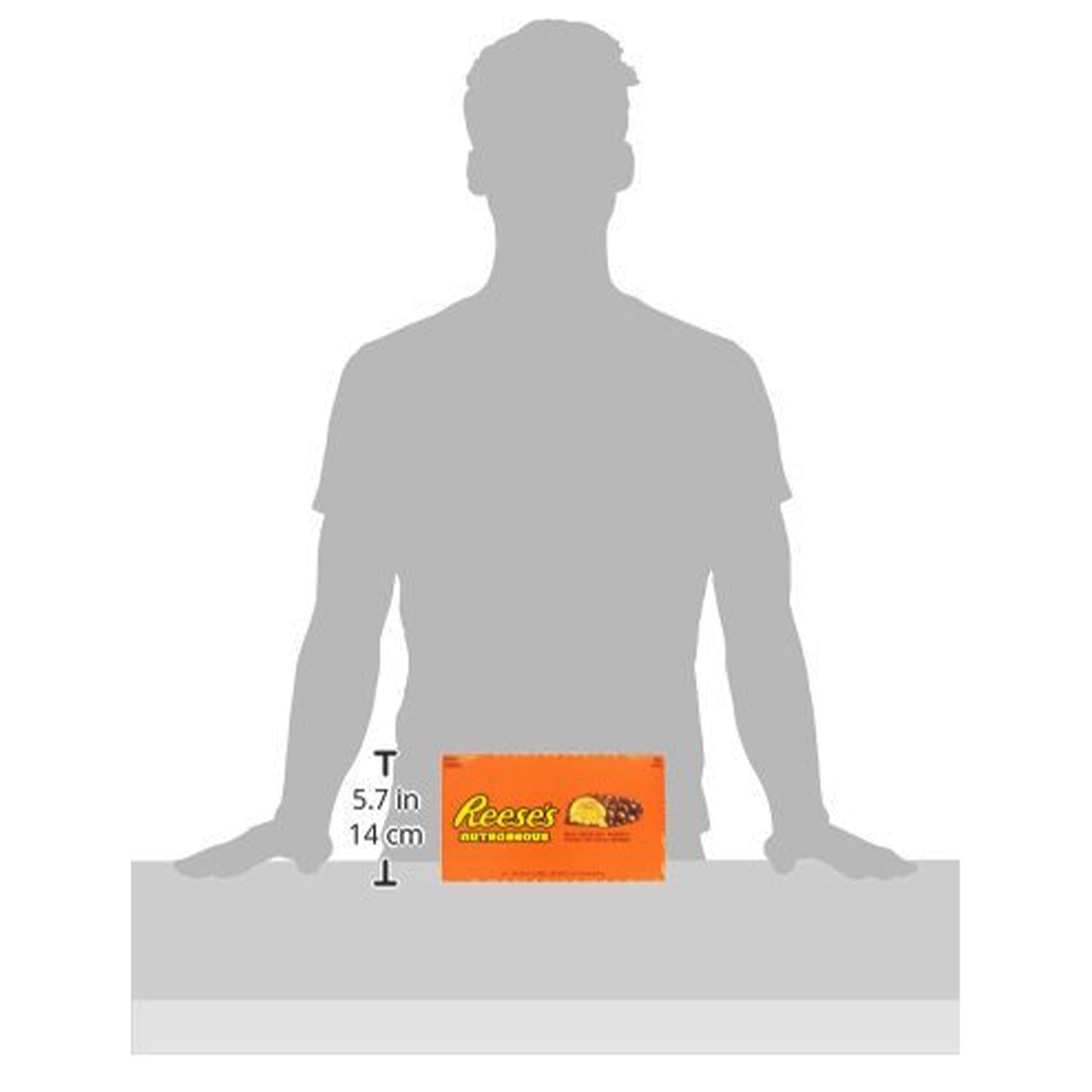 Nutrageous Chocolate Beurre d'arachide Candy Bar Lot de 18