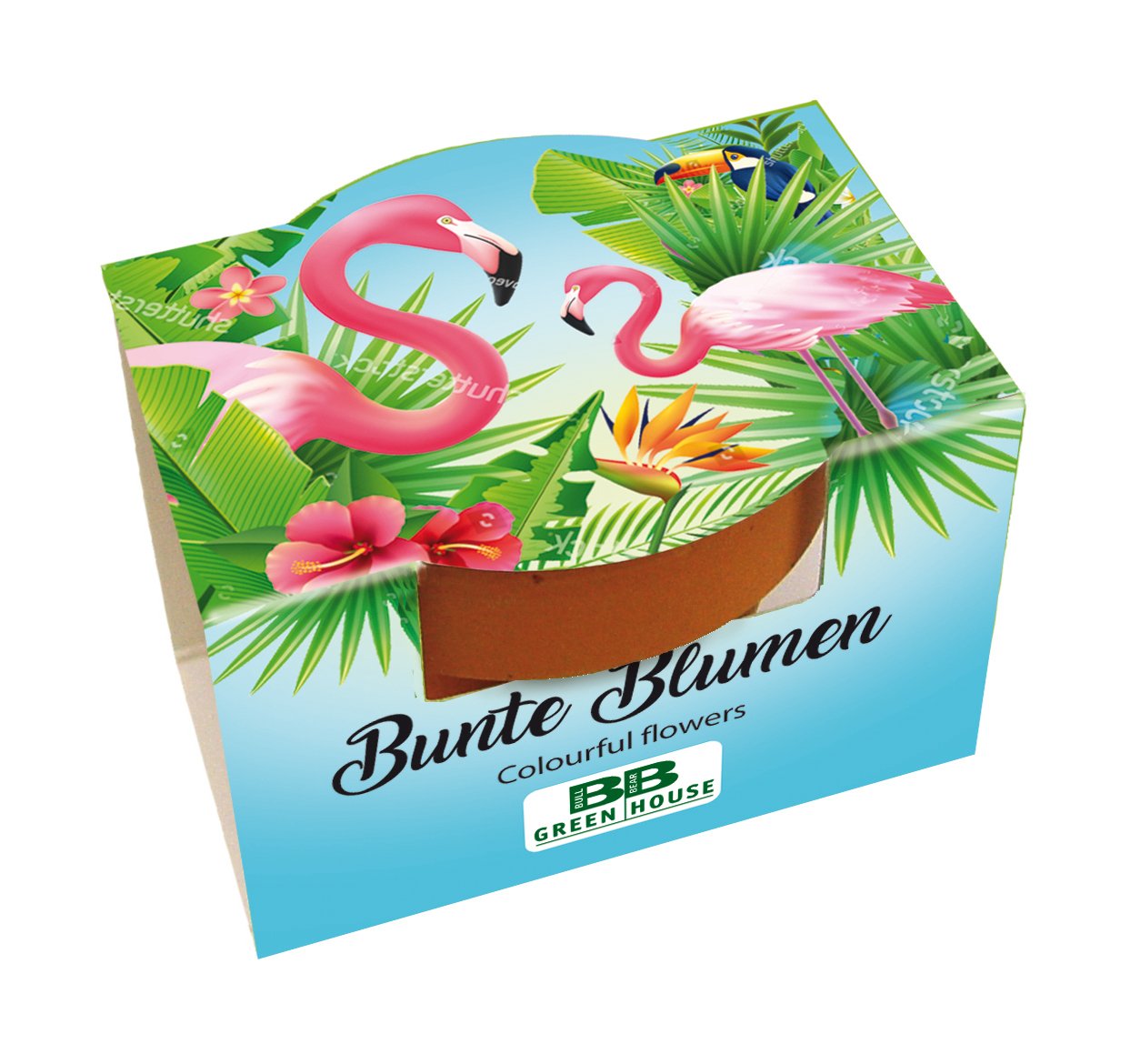 Bull & Bear 10er Set Mini Pflanzset 'Flamingo' mit Blumensamen im Topf 4,5cm, Bunte Blumen als Anzuchtset mit Pflegeanleitung